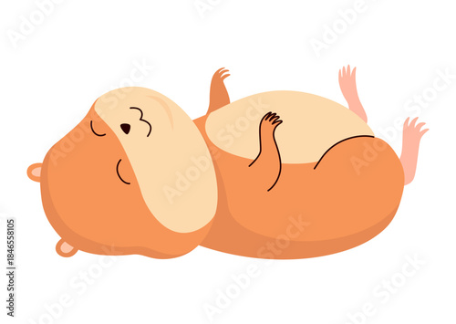 Cartoon hamster. Fluffy domestic pet, funny rodent. Happy home rodent animal. Vector illustration isolated on white background