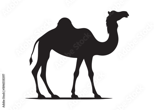 camel logo silhouette vector, camel animal logo vector silhouette illustration, black icon logo camel silhouette, arabian animal wildlife camel logo silhouettes vector on white background