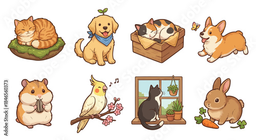 set of house pets isolated