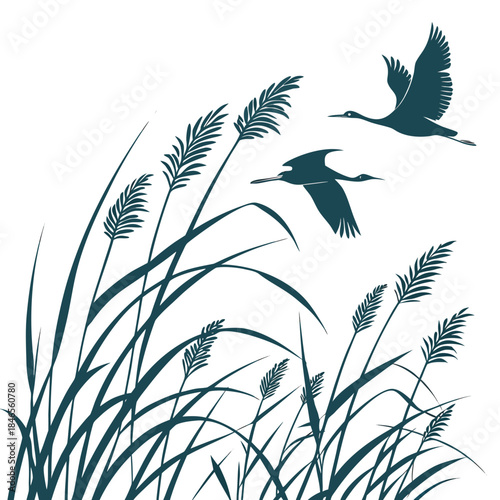 Dark green birds flying over tall reeds on white background