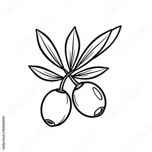 Abstract olive branch with two olives for kids coloring book, educational and fun activity