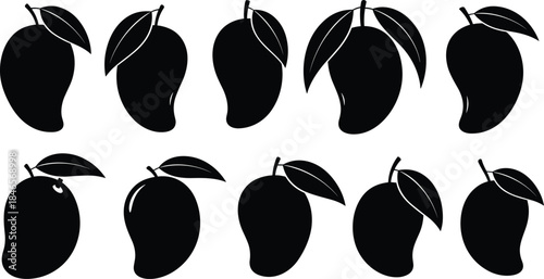 Mango Silhouettes Vector Collection illustration