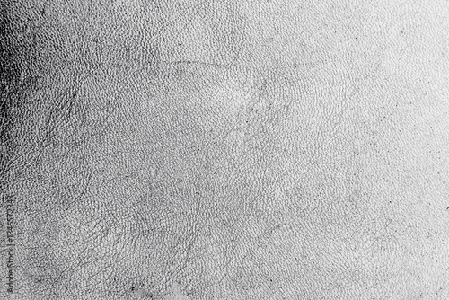 Monochrome grunge overlay with dusty texture, subtle grain, and organic surface details in black and white tones. The abstract material suggests aged paper or rough texture, creating a raw, atmospheri