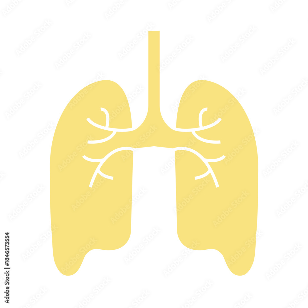 Fototapeta premium Lungs icon desigbn