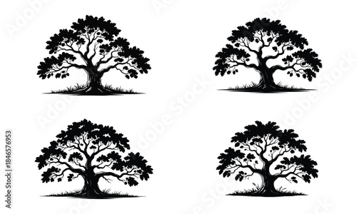 Wide tree canopy silhouettes set, strong old trees with dense branches, nature and forest illustration
