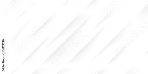 Abstract white and gray color background texture with diagonal lines. Abstract geometric white and gray color background. Vector Design layout of shape paper cut