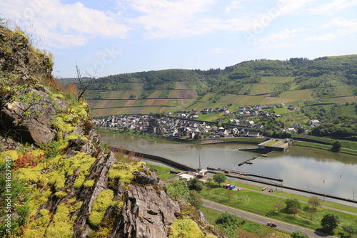 Wanderung und Blick über die Mosel