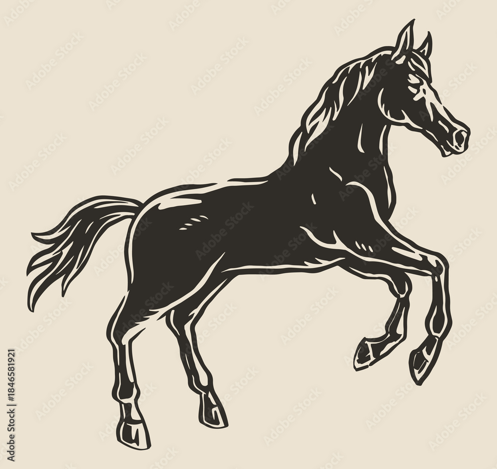 Obraz premium Black horse in motion