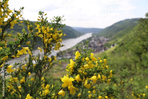 Ein Wandertag an der Mosel