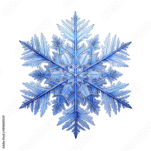 Beautiful Macro Crystal Snowflake Watercolors
