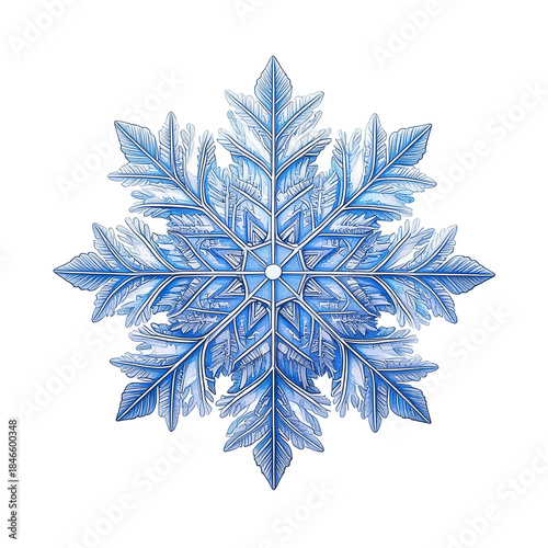 Watercolor Snowflake Winter Holiday Illustration