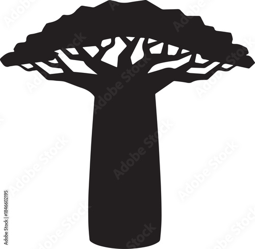 Silhouette of a large African baobab tree with a thick trunk and wide spreading branches against a white