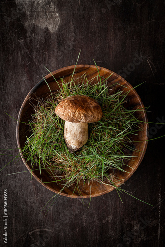 Porcini mushroom
