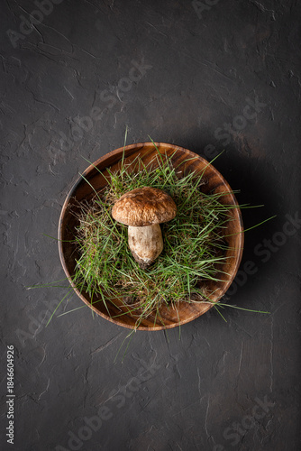 One porcini mushroom
