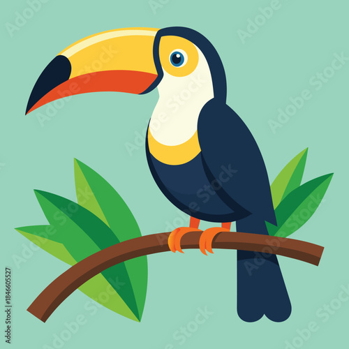 toucan on a branch