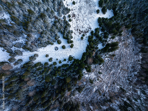 Deforestation and global warming. Aerial view of a mountain forest devastated by wind or storm, showing thousands of fallen trees covered in light snow during winter or early spring.