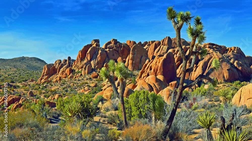 Joshua Tree National Park in California, USA