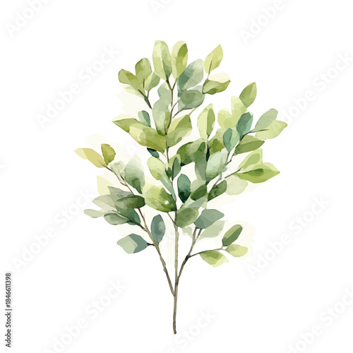 Watercolor_style_painting_of_a_boxwood_shrub_on_a_white_Hand-painted style, vectorized, vector set available in EPS An Elegant watercolor painting design