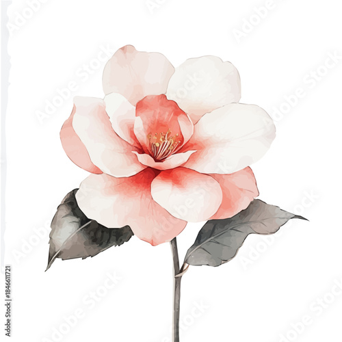 Hand-painted style, vectorized, vector set available in EPS An Elegant watercolor painting design_Watercolor_style_painting_of_a_camellia_flower_on_a_white