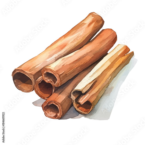 Hand-painted style, vectorized, vector set available in EPS An Elegant watercolor painting design_Watercolor_style_painting_of_a_cinnamon_bark_on_a_white