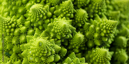 Romanesco broccoli cabbage or Roman Cauliflower abstract texture green background, macro shot. Fresh Food design, vegan backdrop. 
