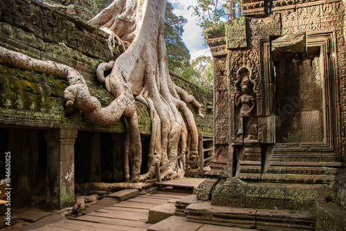 Angkor Wat Archeological Park in Siem Reap, Cambodia