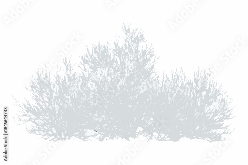 Delicate frost patterns forming intricate designs on a transparent surface