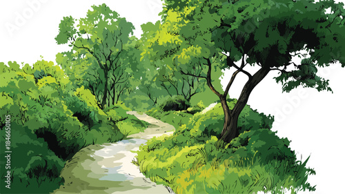 Tranquil Forest Trail Meandering Through Rich Foliage Vector