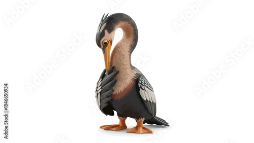 Monochrome Stork Preening Feathers: Black, White, and Grey Bird