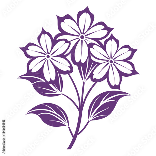 creeping phlox white line art on white