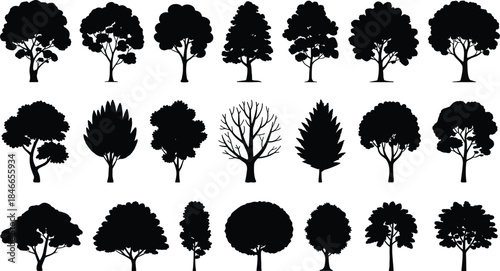 Set of realistic tree silhouettes with deciduous and conifer forms, detailed canopies and branches, black nature elements, vector illustration