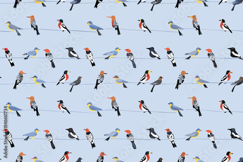 A colorful pattern of birds perched on electrical wires against a light blue sky