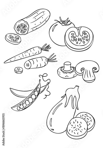 Hand drawn vegetable set with cucumber tomato carrot mushroom pea pod and eggplant isolated on white background in vector style. Concept of healthy food, organic farming and plant based nutrition