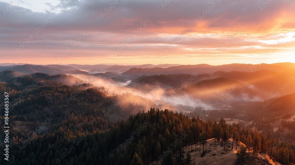 Fototapeta premium Sunset over hills with fog in the valleys and trees in the foreground