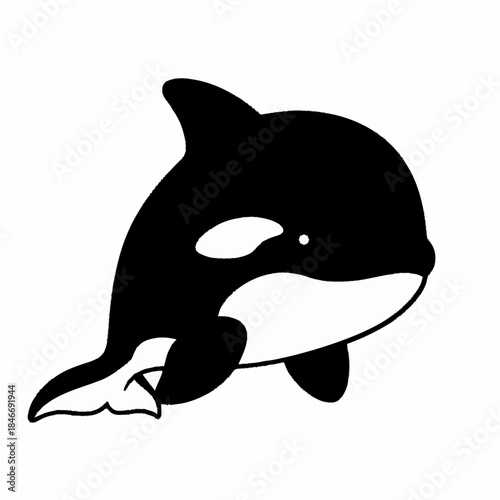Adorable Baby Orca Whale Swimming Playfully in the Ocean.