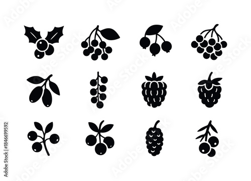 Berry Plants Icon Set. berry plants. Solid icon set of berry pla