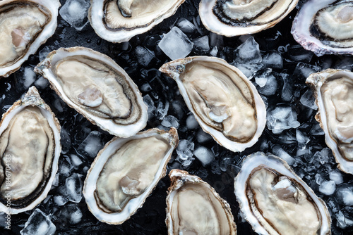 Wallpaper Mural Fresh raw oysters on ice background texture, overhead flat lay view on black Torontodigital.ca