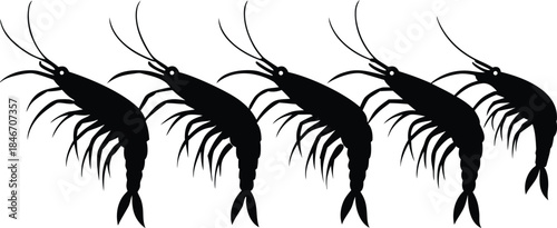 Black silhouette of a row of five shrimp swimming in single file on a white background