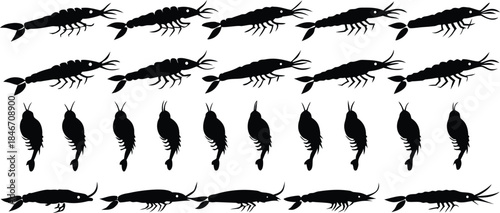 A collection of shrimp and prawn silhouettes displayed in different angles and orientations