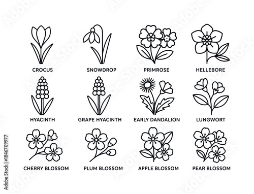 Spring Flower Icons. Spring bee flowers. Line icon set of spring