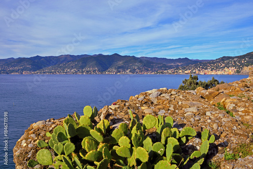 Panoramic view of Camogli and Punta Chiappa, in Liguria, Italy