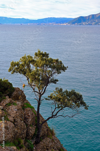 Punta Chiappa Camogli Liguria Italy