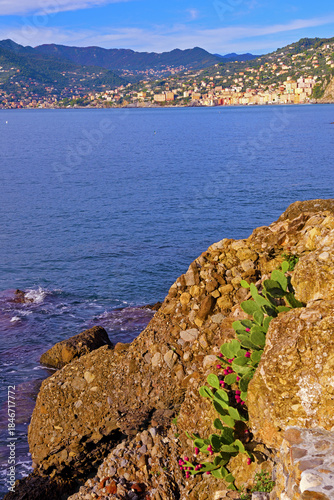 Panoramic view of Camogli and Punta Chiappa, in Liguria, Italy