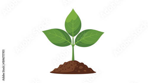 A vibrant young plant sprouts from rich soil, symbolizing growth, new beginnings, and the promise of a flourishing future.