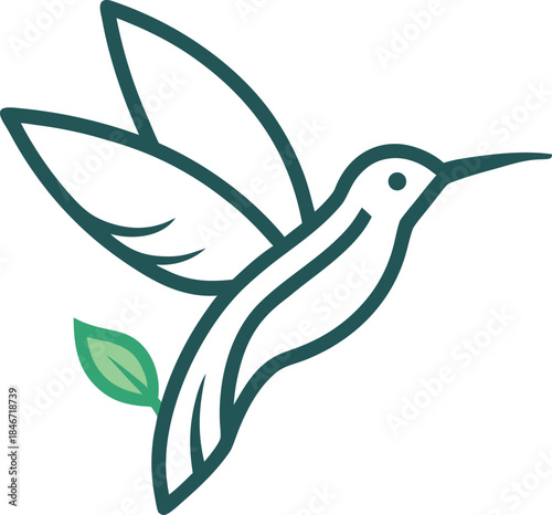 vector illustration of an hummingbird
