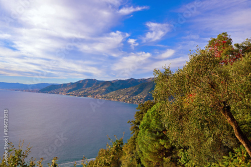 Panorama of San Rocco di Camogli, Liguria, Italy
