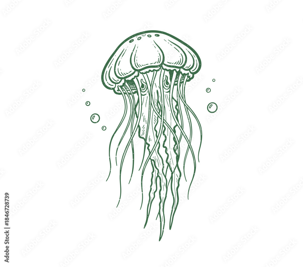 Naklejka premium Jellyfish Line Art. Retro Marine Animal Sketch. Ocean Creature Doodle. Hand Drawn Jellyfish Icon. Vintage Sea Life Logo.