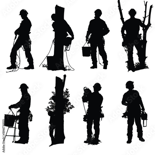 silhouette of people are cutting tree