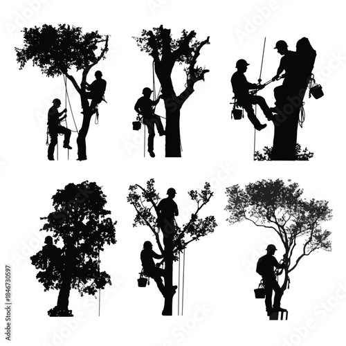 silhouette of people are cutting tree