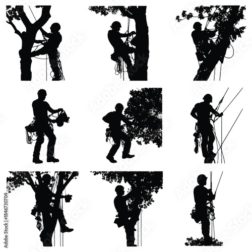 silhouette of people are cutting tree